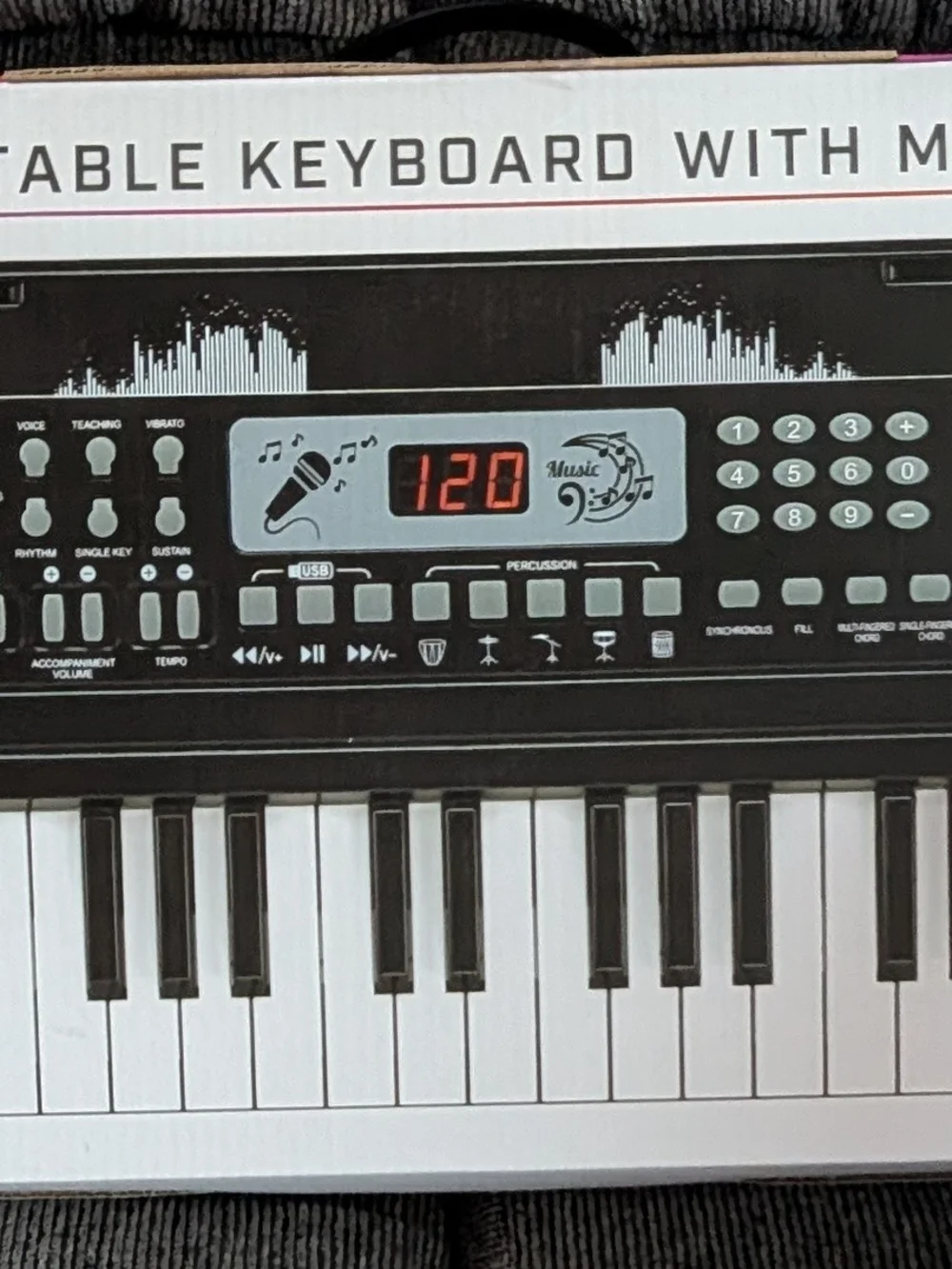 Electronic Keyboard Piano  - Orange and Black